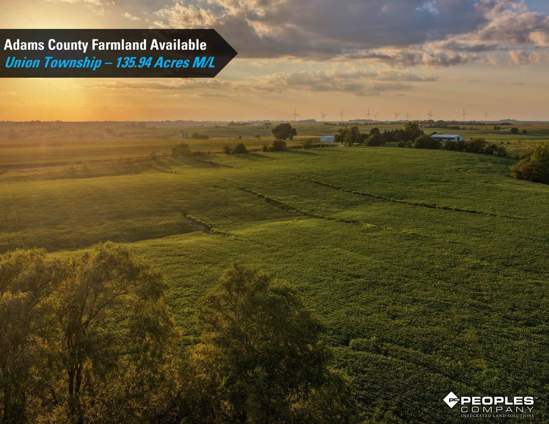 Listing Photo: Adams-County-Iowa-Farmland-Available-136-Acres-Blazek-Estate-19707 (20)